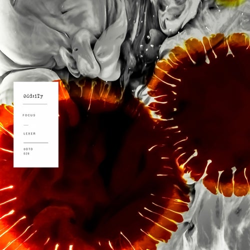 Cover art for Focus