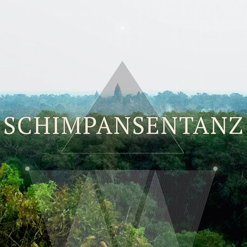 Schimpansentanz, Vol. 1 (Crazy Deep House Compilation)
