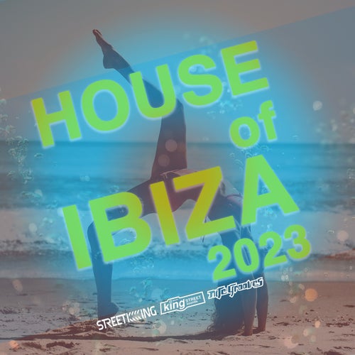 Cover art for House Of Ibiza 2023