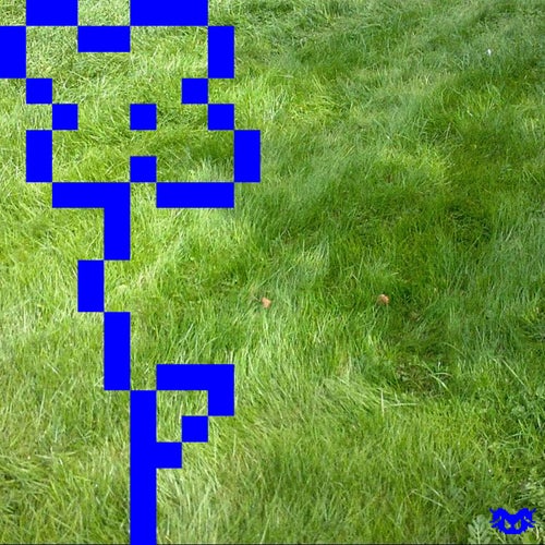 DLMA
