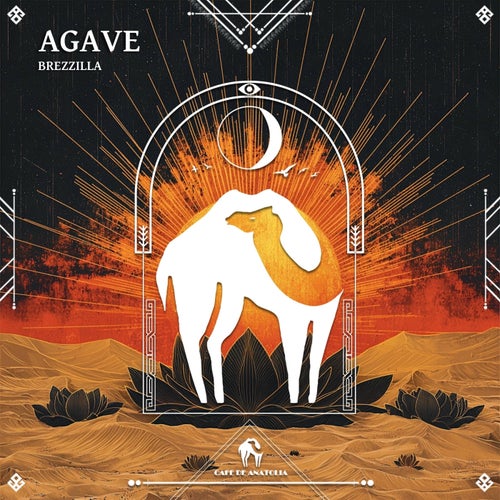 Agave