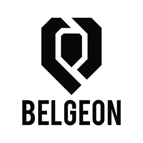 Belgeon