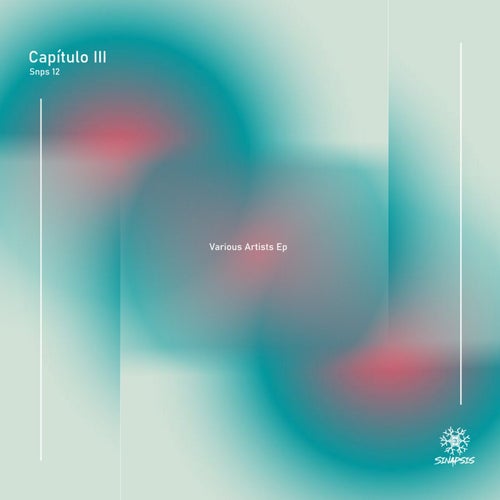 Capítulo III