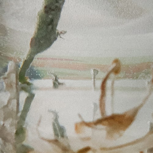 Minimal Organism EP