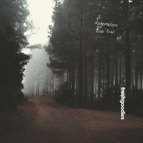 Lost Trail
