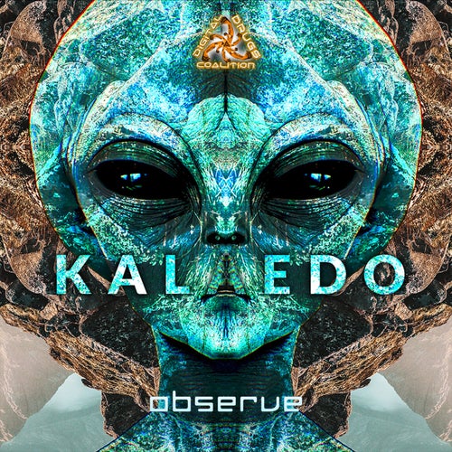 Observe
