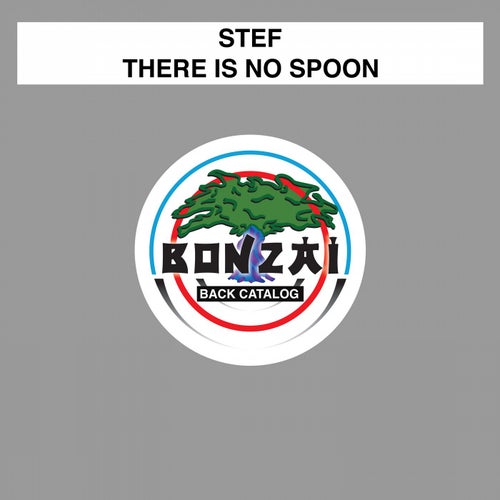 There Is No Spoon