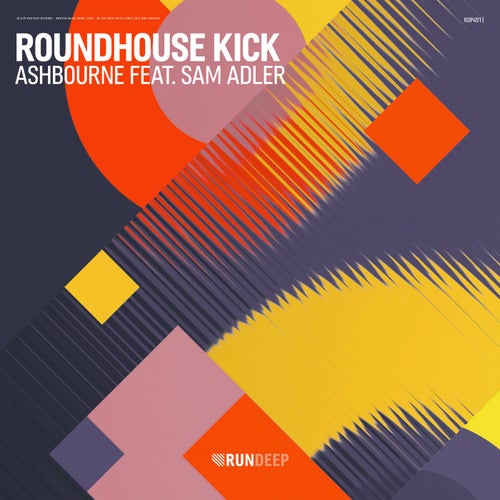 Roundhouse Kick