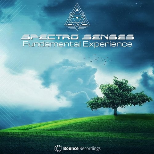 Cover art for Fundamental Experience