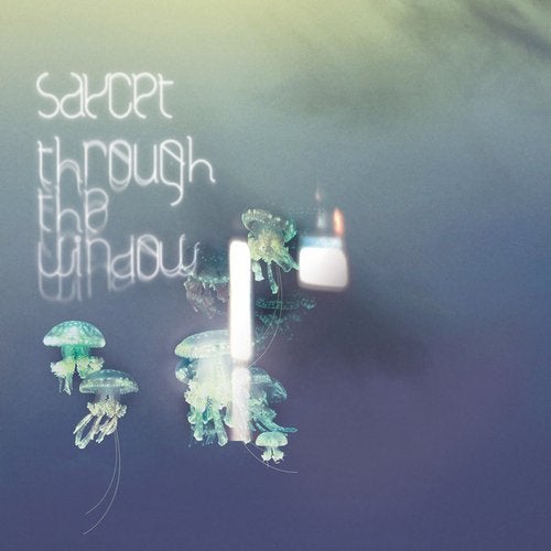 Cover art for Through the Window