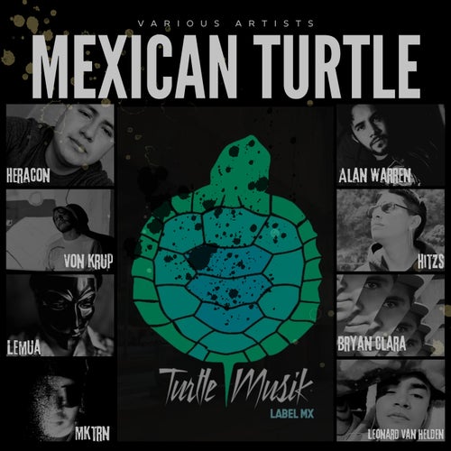 Mexican Turtle [Turtle Musik]
