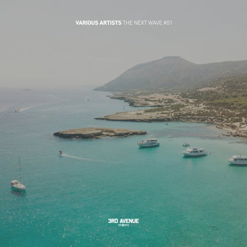 The Next Wave 01 (2025) - Progressive House,Organic House albüm kapağı
