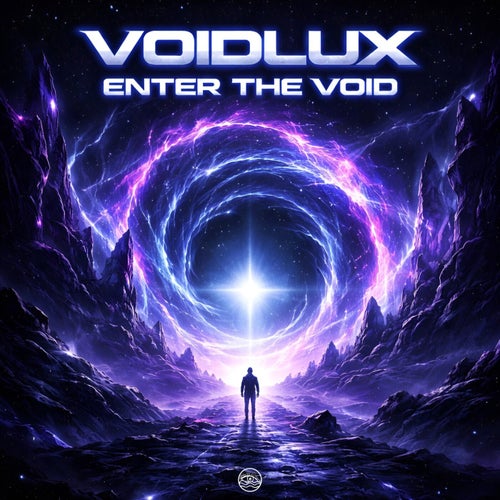 Enter The Void
