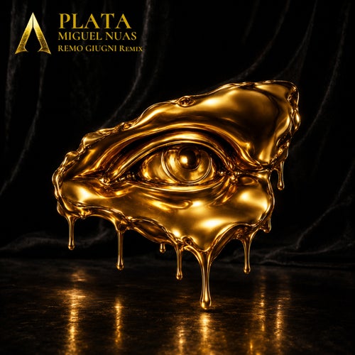 Plata (Remo Giugni Remix)