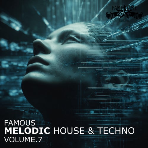 Famous Melodic House and Techno, Vol. 7