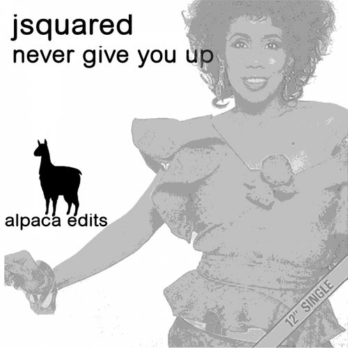 Never Give You Up