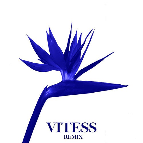 Désert (Vitess Remix)