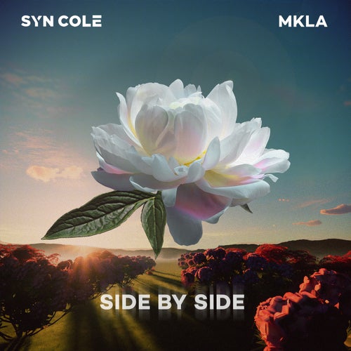 Side By Side (Extended Mix)