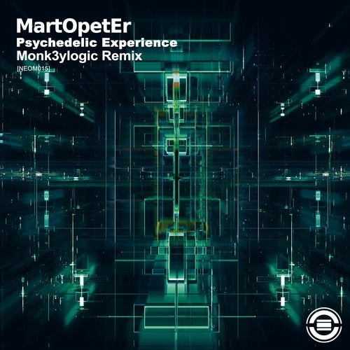 Cover art for Psychedelic Experience