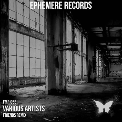 FmR Friends Remix