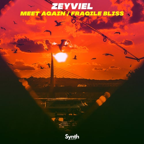 Meet Again / Fragile Bliss