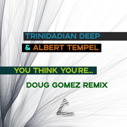 You think you're...(Doug Gomez remixes)