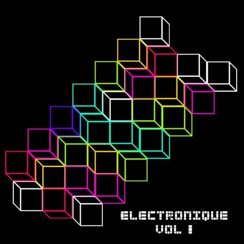 Electronique Vol 1