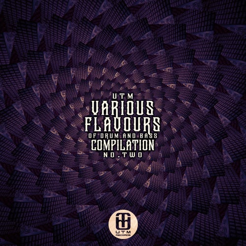 Cover art for Various Flavours (Dnb), Vol. 2