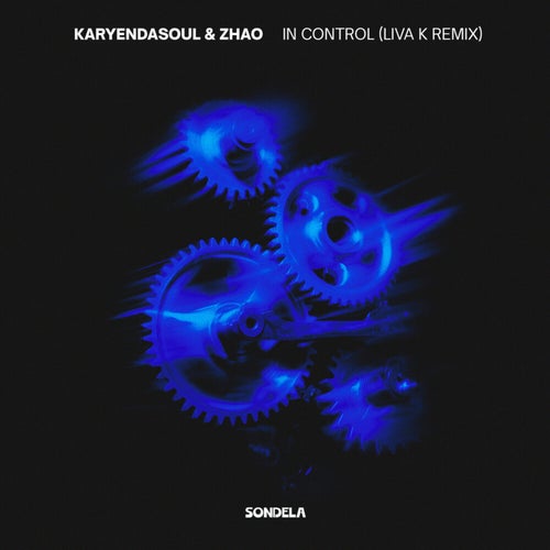 In Control (Liva K Extended Remix)