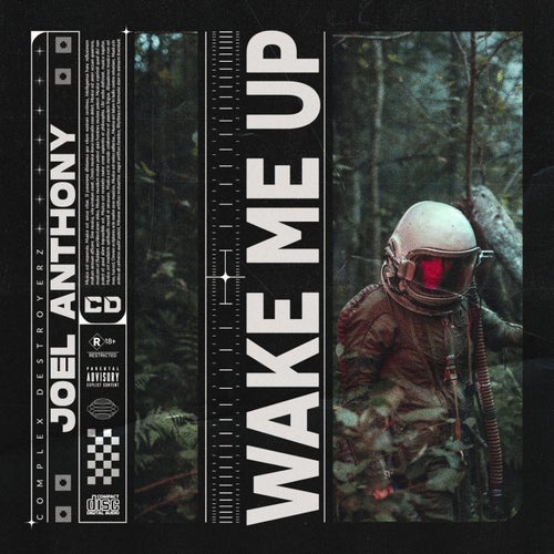 Wake Me Up