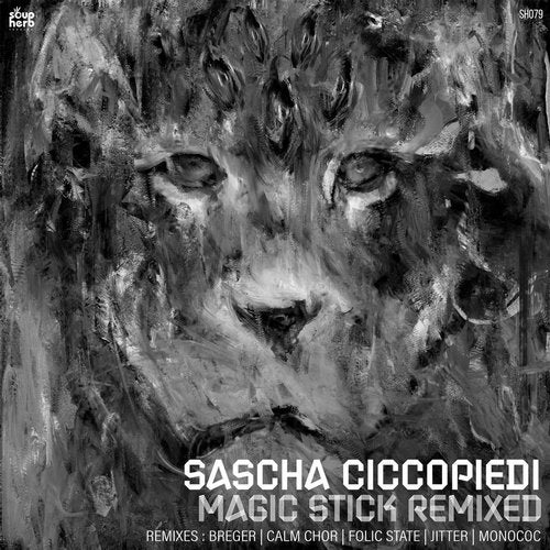 Cover art for Magic Stick Remixed