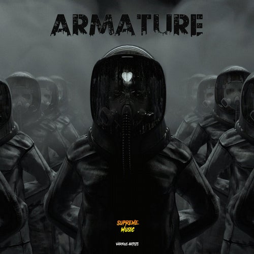 Armature