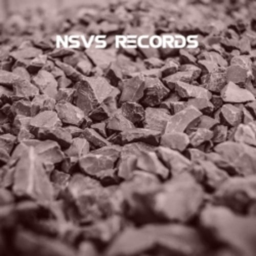 NSVS Records