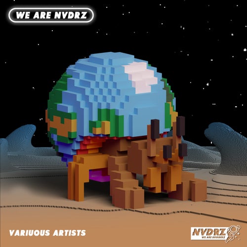 We Are NVDRZ