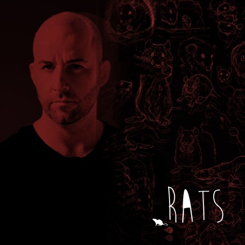 Rats 2014 Chart By Pedro Silva