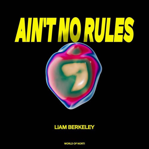 Cover art for AIN'T NO RULES