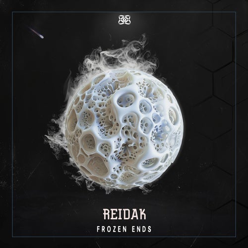  Reidak - Frozen Ends (2024) 