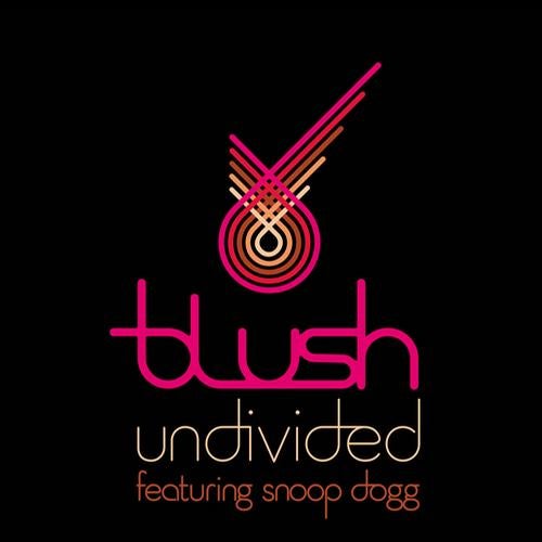Undivided (featuring Snoop Dogg)