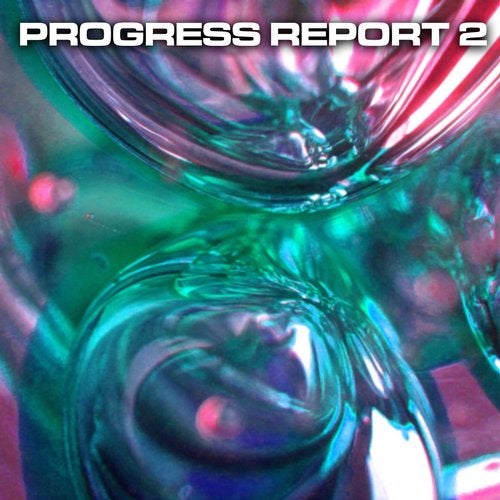 Progress Report Vol 2