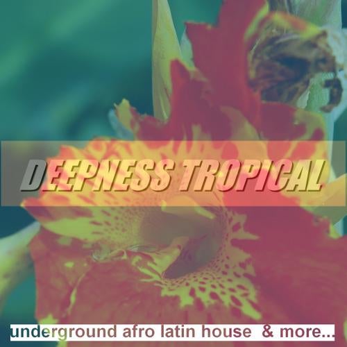 Deepness Tropical: Underground Afro Latin House & More