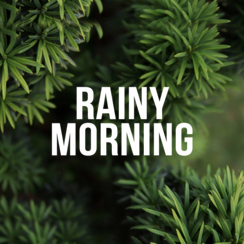 Cover art for Rainy Morning