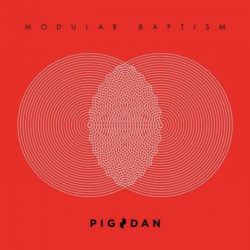 Cover art for Modular Baptism