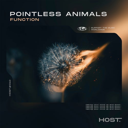 Cover art for Function