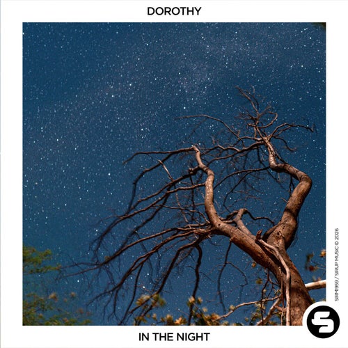 In the Night