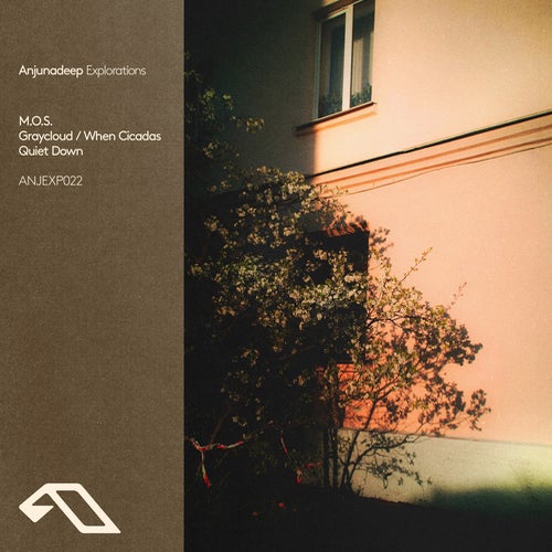 This Week Wasn't Weak - "A" Side [50/2024]