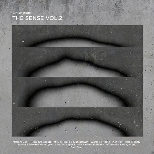 Cover art for The Sense, Vol. 2