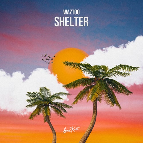 Shelter