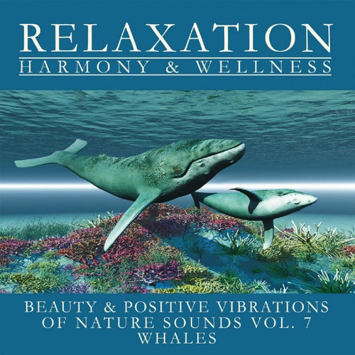 Nature Sounds Vol. 7 - Whales