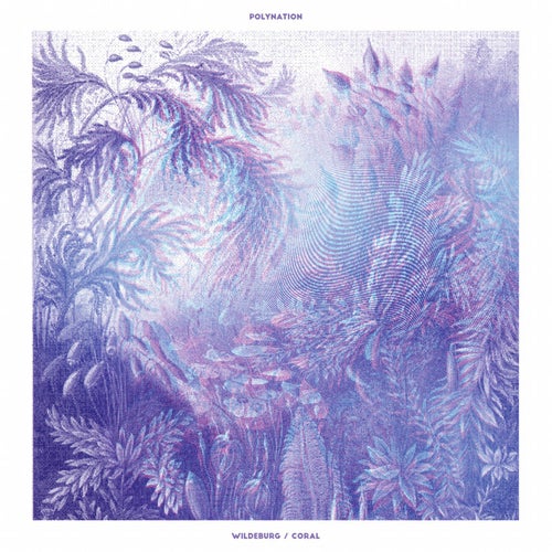 Wildeburg / Coral