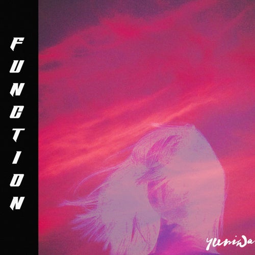 Cover art for Function